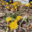Апрельские качели погоды в Артемовском: от рекордной жары до мокрого снега - Газета Егоршинские Вести